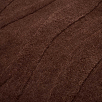 Zebra - Brown